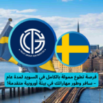 Read more about the article فرصة تطوع ممولة بالكامل في السويد لمدة عام – سافر وطور مهاراتك في بيئة أوروبية متقدمة!